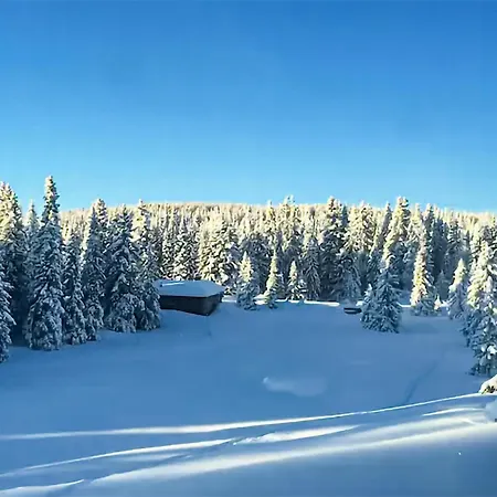 Lovely In With Sauna Semesterbostad